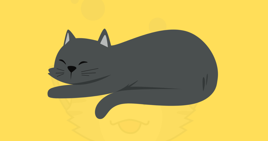 Penyebab Kucing Tidak Mau Makan dan Tidur Terus
